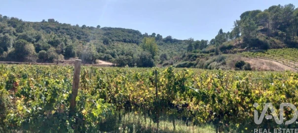 Quinta para Venda em Pernes