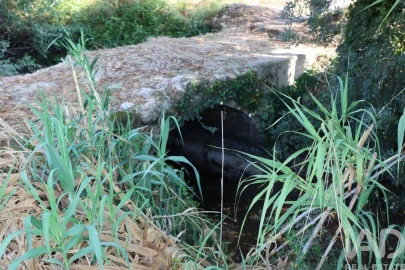 Quinta para Venda em Pernes