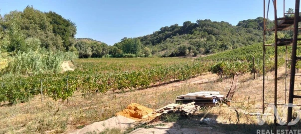 Quinta para Venda em Pernes