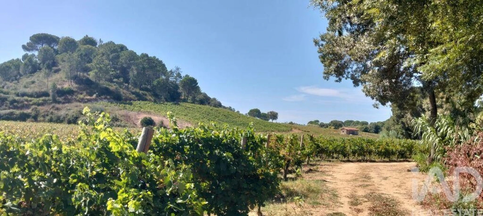 Quinta para Venda em Pernes Foto 32