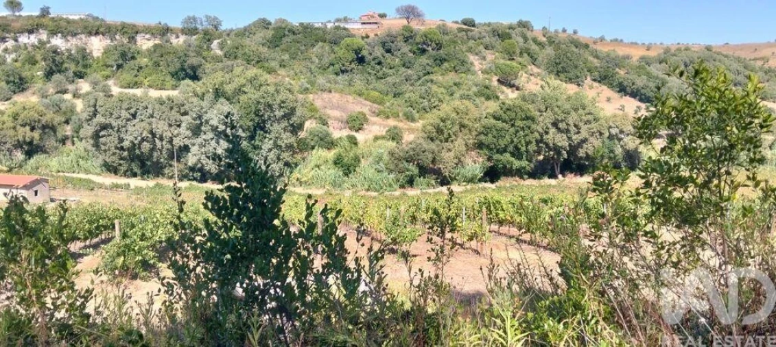 Quinta para Venda em Pernes Foto 25