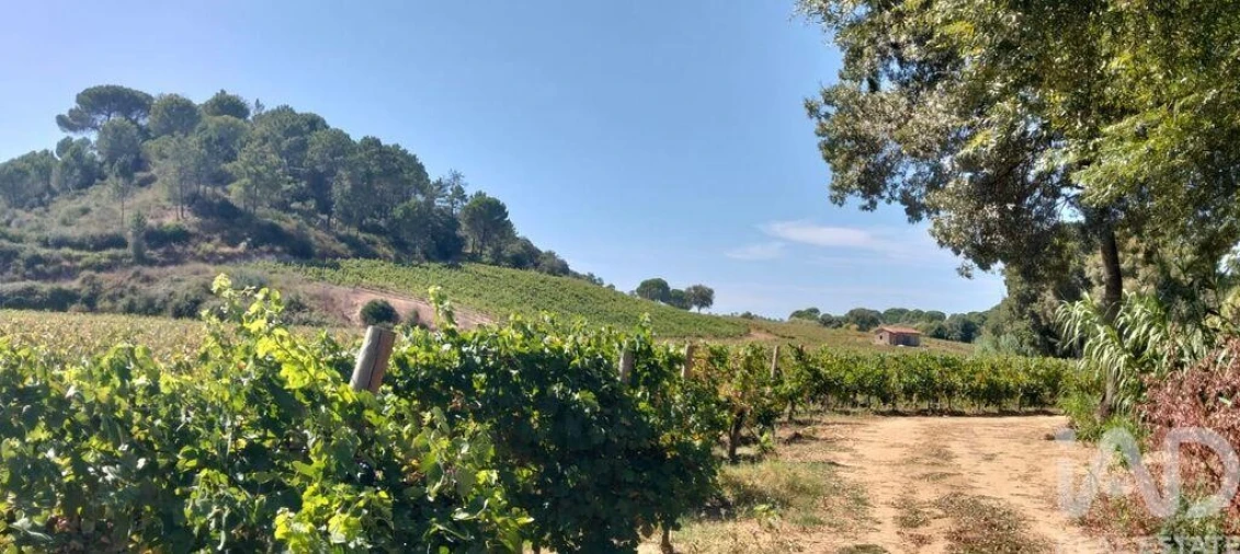 Quinta para Venda em Pernes Foto 32