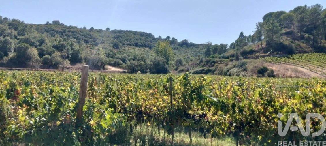Quinta para Venda em Pernes Foto 31
