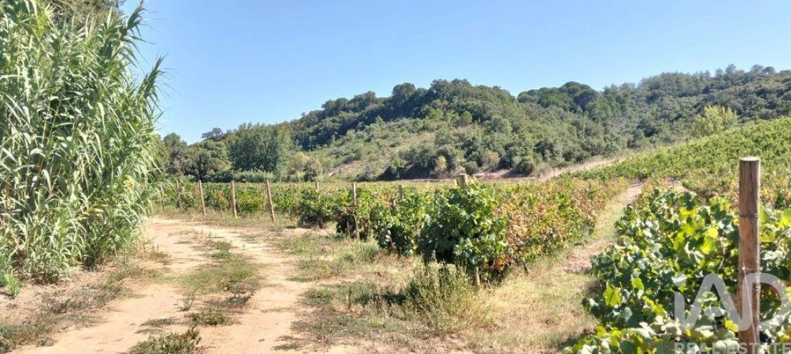 Quinta para Venda em Pernes Foto 13