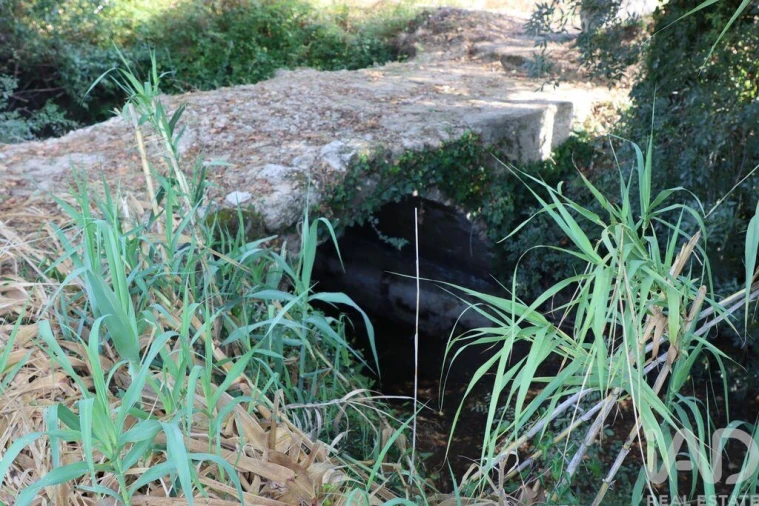 Quinta para Venda em Pernes Foto 20