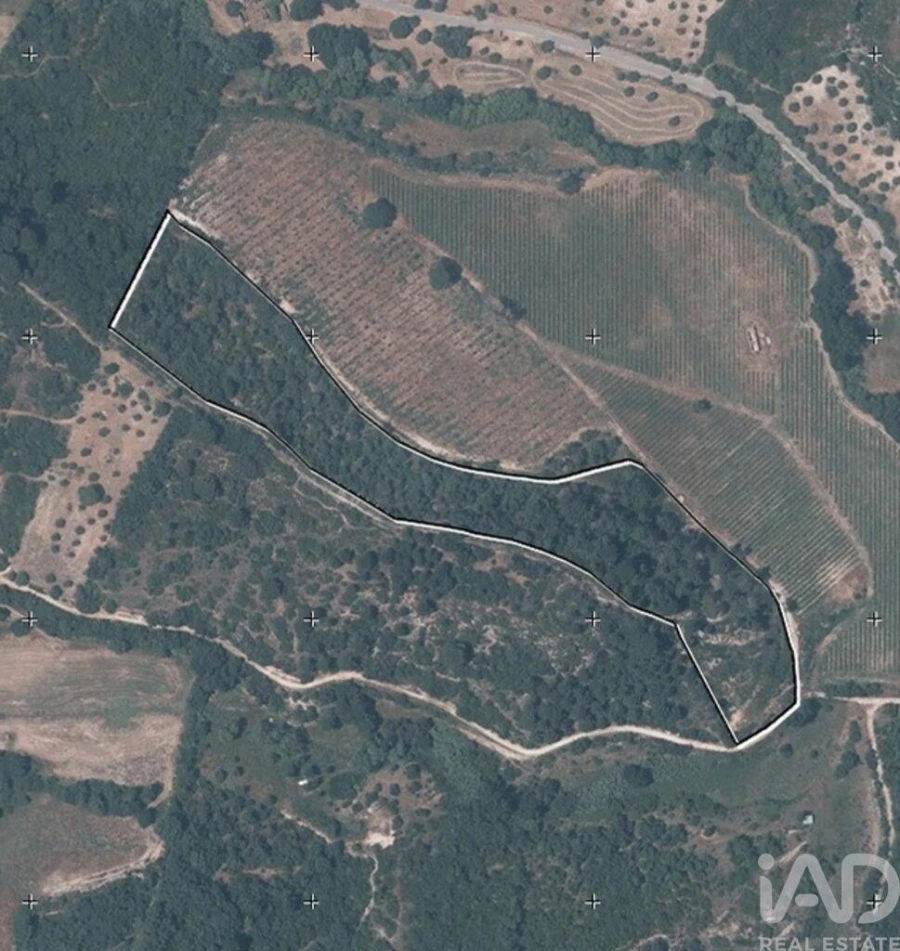 Quinta para Venda em Pernes Foto 39