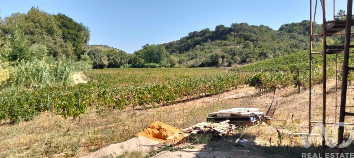 Quinta para Venda em Pernes Foto 28