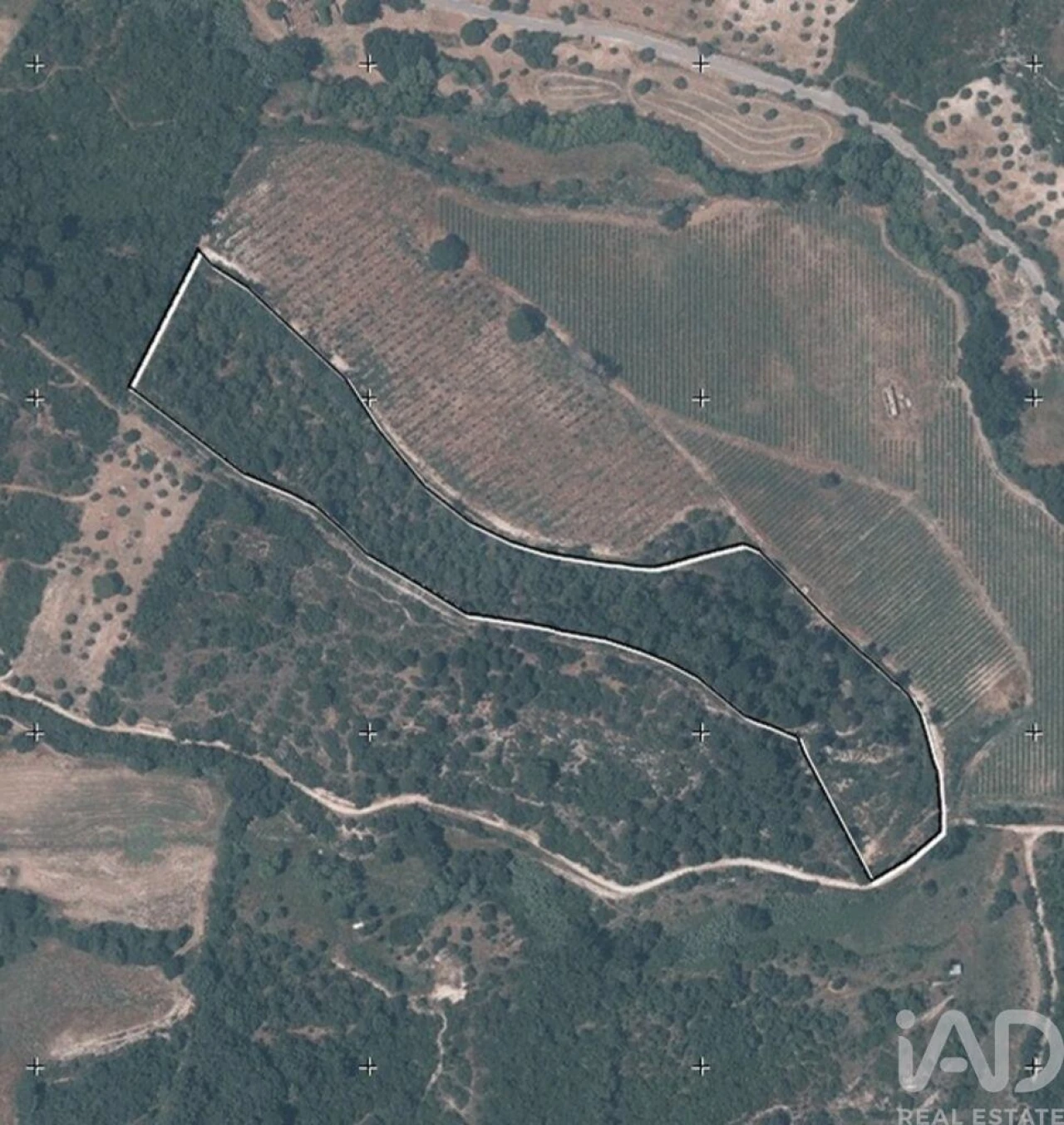 Quinta para Venda em Pernes Foto 39