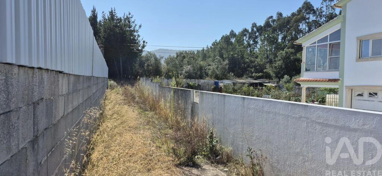 Terreno para Venda em Pedreiras Foto 9