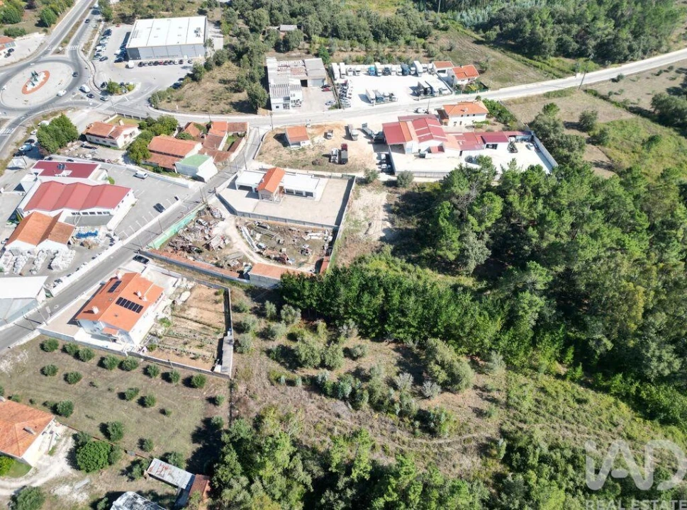 Terreno para Venda em Pedreiras Foto 3