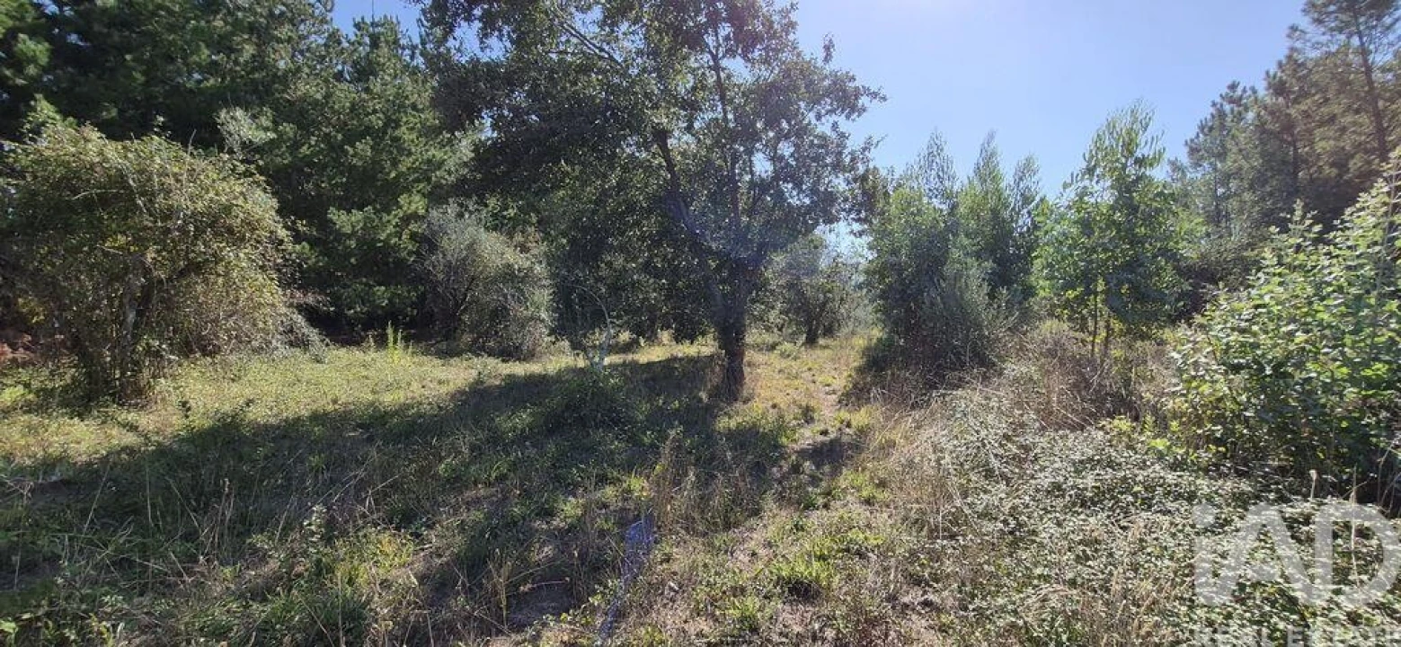 Terreno para Venda em Pedreiras Foto 6