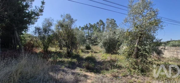 Terreno para Venda em Pedreiras