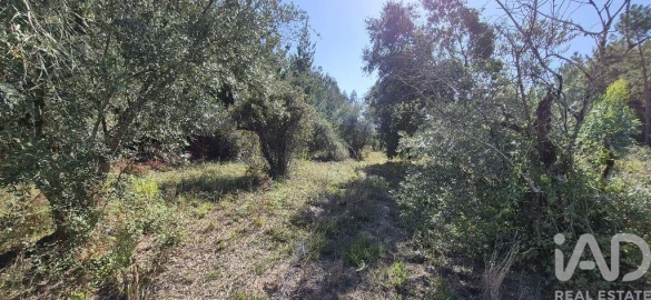 Terreno para Venda em Pedreiras