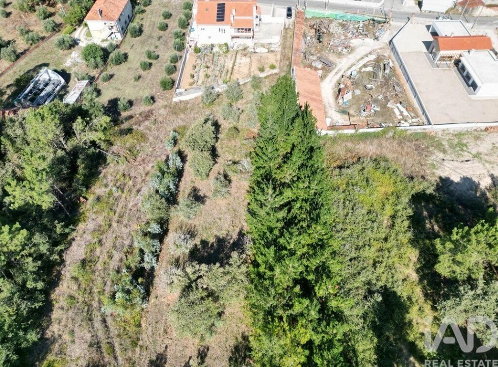 Terreno para Venda em Pedreiras Foto 12