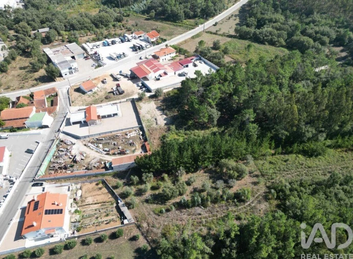 Terreno para Venda em Pedreiras Foto 2