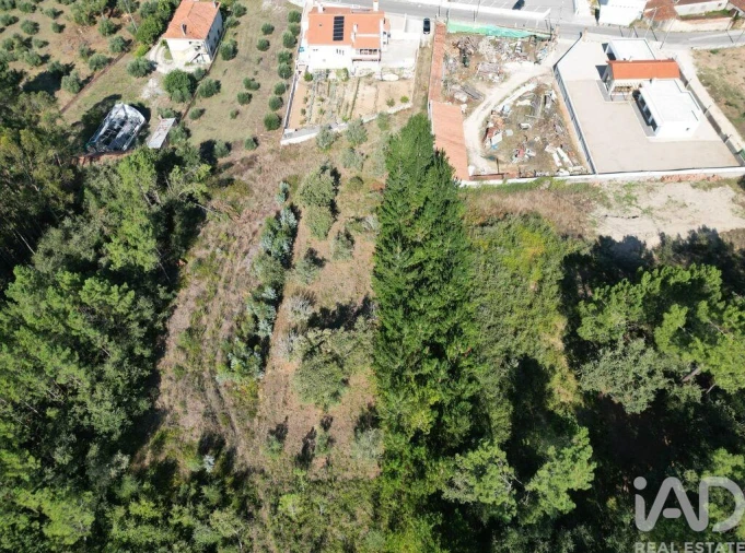 Terreno para Venda em Pedreiras Foto 13