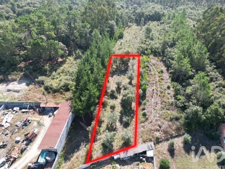 Terreno para Venda em Pedreiras Foto 11
