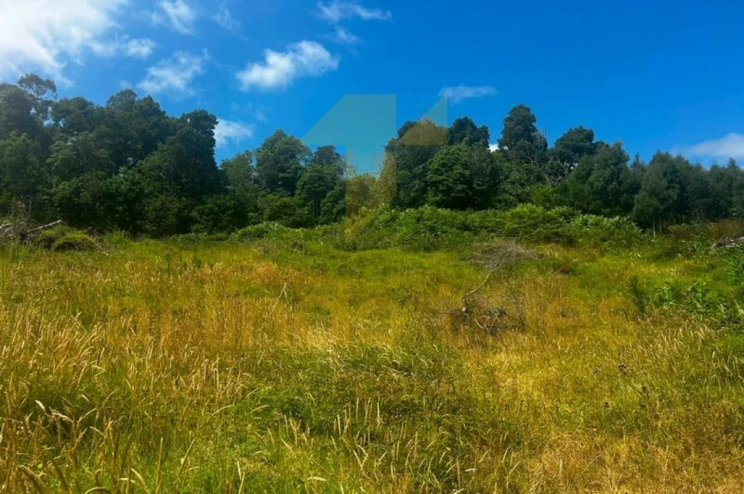 Terreno para Venda em Terra Chã Foto 27