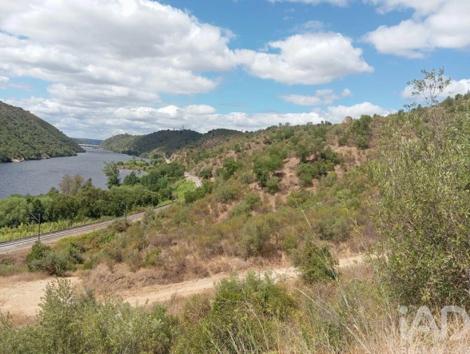 Terreno para Venda em Belver Foto 5