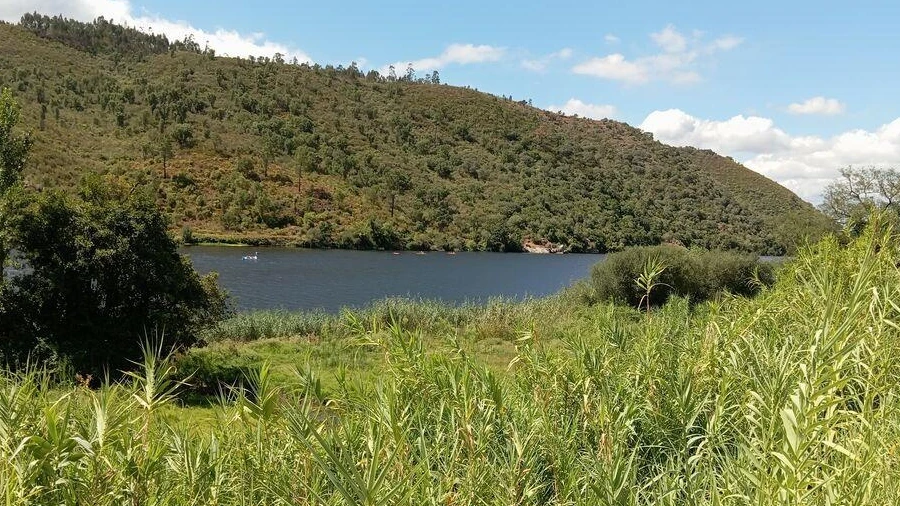 Terreno para Venda em Belver