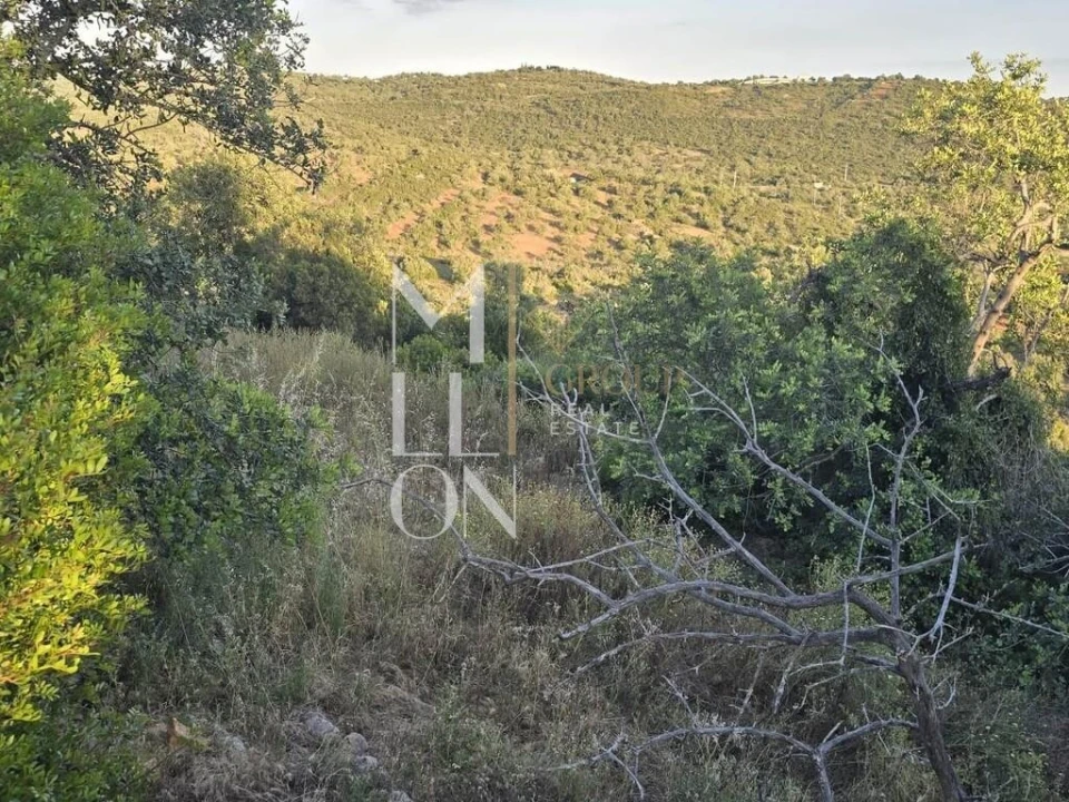 Terreno para Venda em Paderne Foto 6