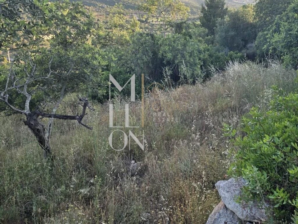 Terreno para Venda em Paderne Foto 8