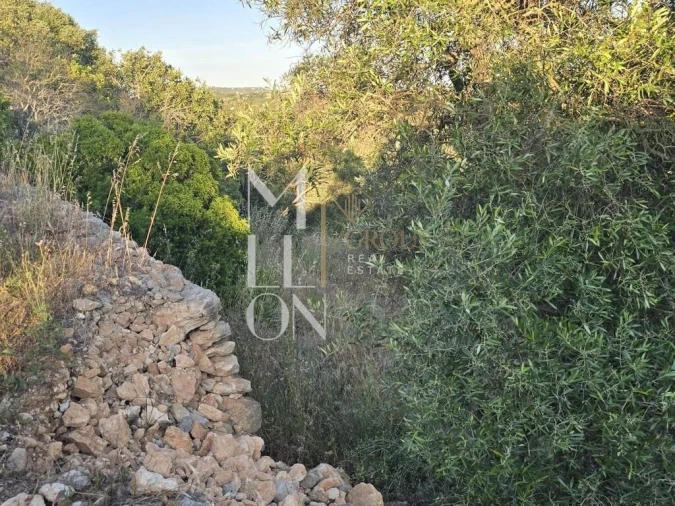 Terreno para Venda em Paderne Foto 7