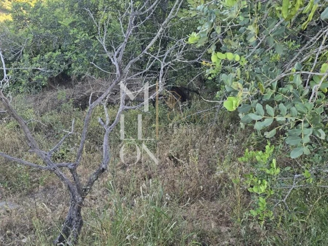 Terreno para Venda em Paderne Foto 10
