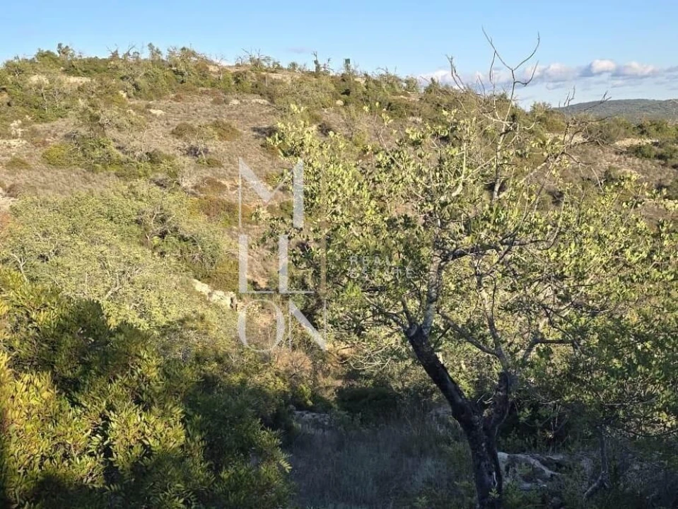 Terreno para Venda em Paderne Foto 5