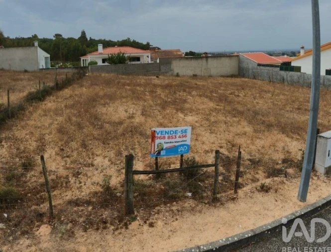 Terreno para Venda em Carregueira Foto 9