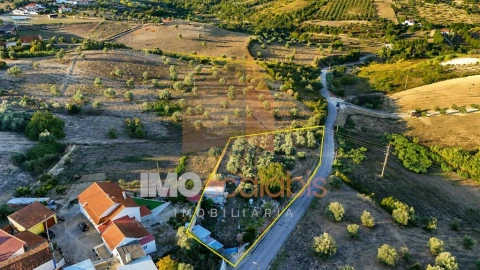 Terreno para Venda em Moçarria