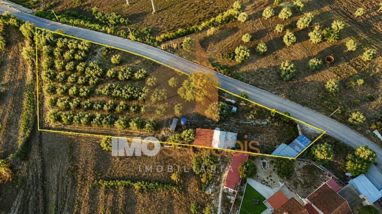 Terreno para Venda em Moçarria Foto 9