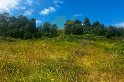 Terreno para Venda em Terra Chã