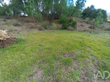 Terreno para Venda em Batalha