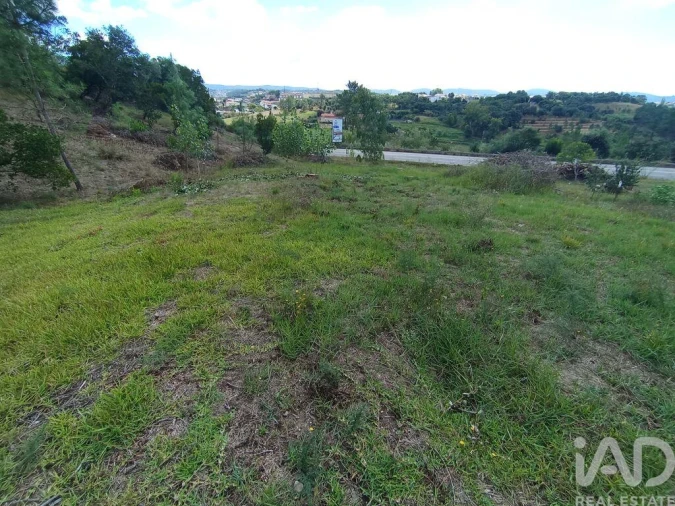 Terreno para Venda em Batalha Foto 11