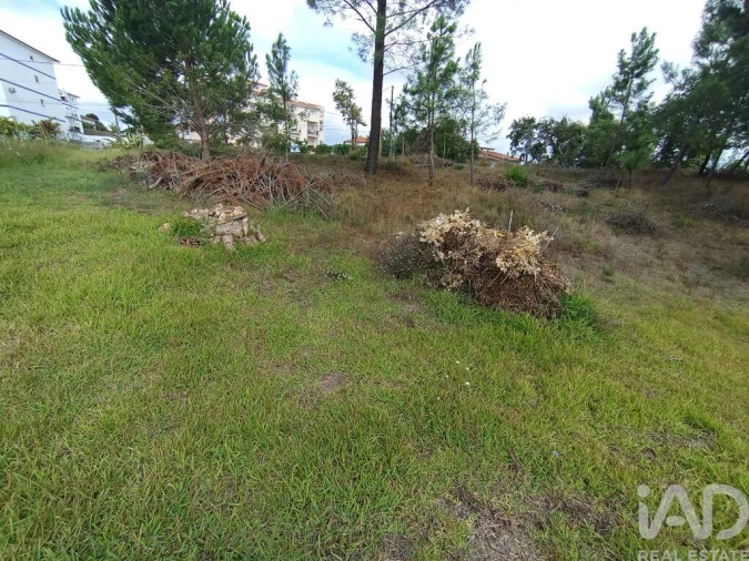 Terreno para Venda em Batalha Foto 10
