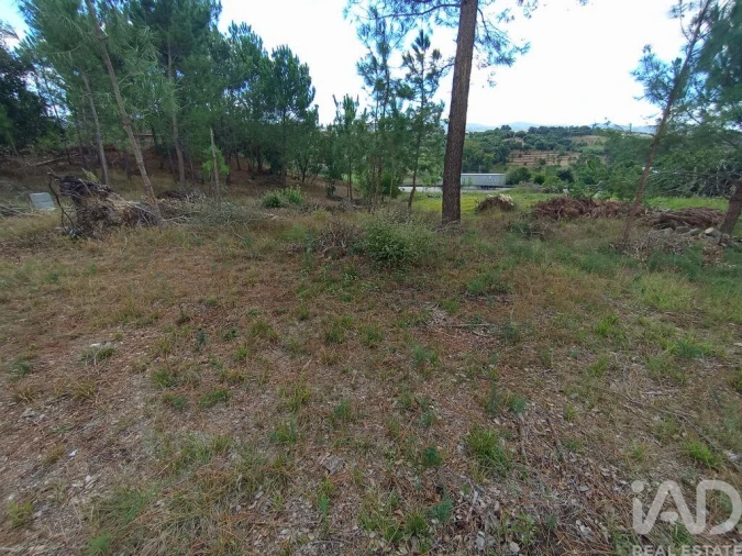 Terreno para Venda em Batalha Foto 14