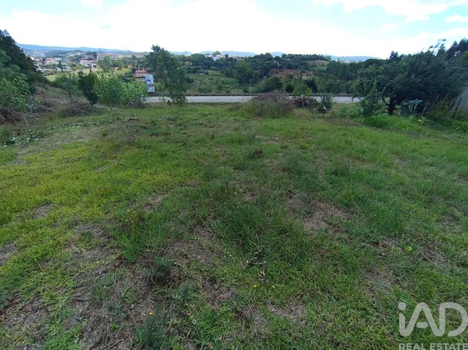 Terreno para Venda em Batalha Foto 12