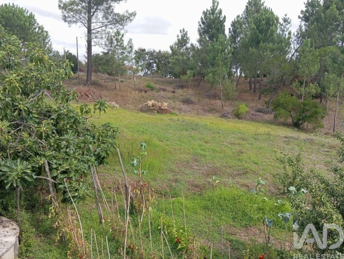 Terreno para Venda em Batalha Foto 9