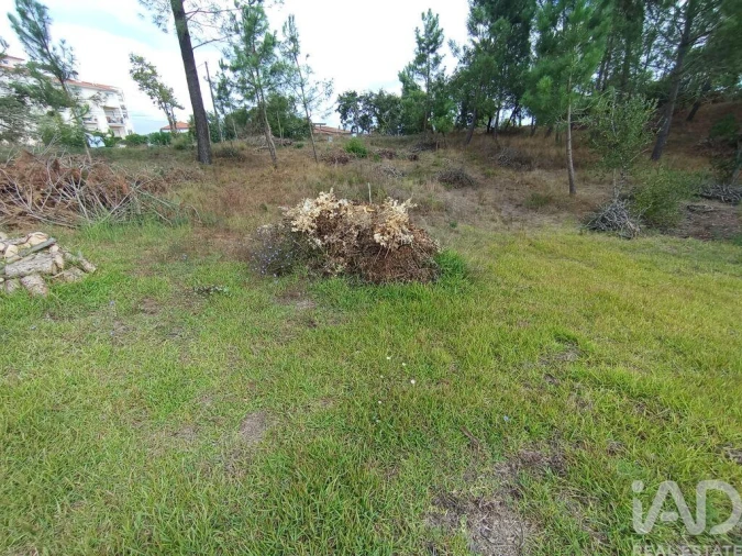 Terreno para Venda em Batalha Foto 15