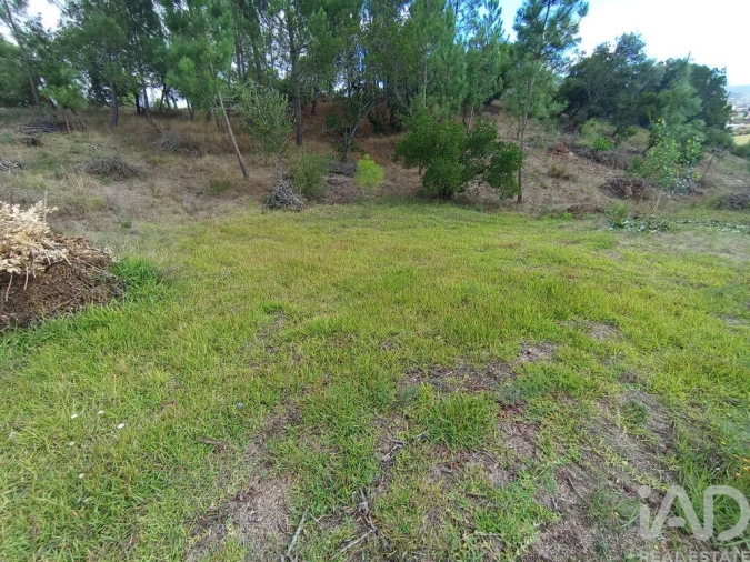Terreno para Venda em Batalha Foto 16