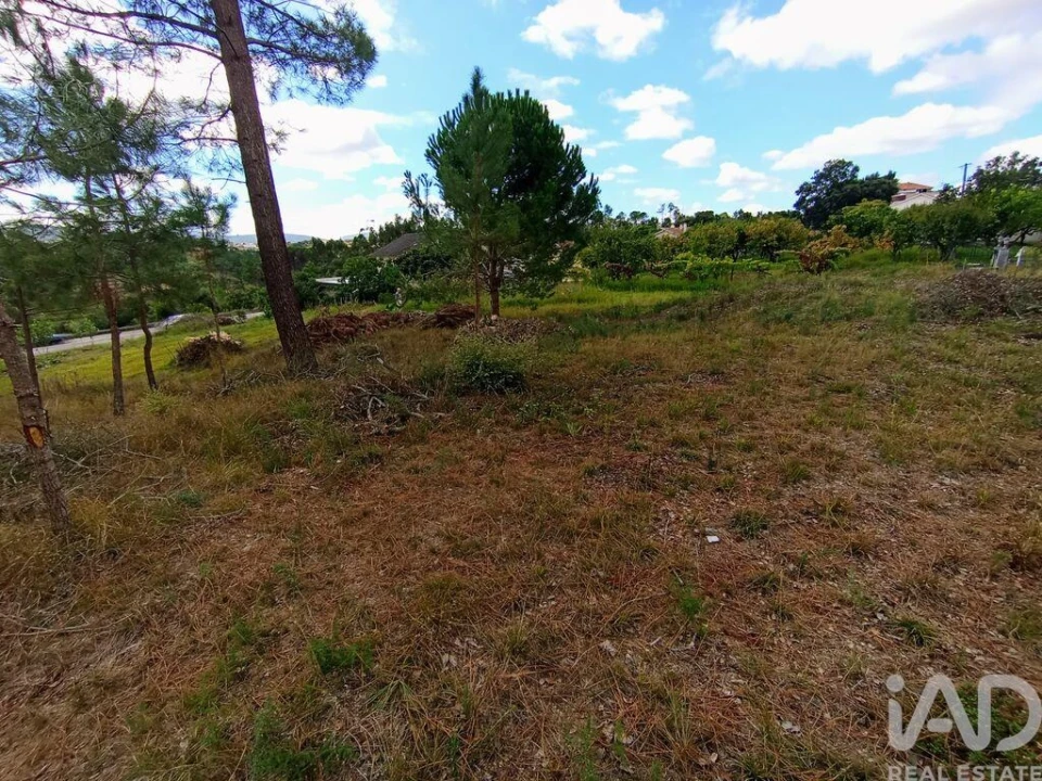 Terreno para Venda em Batalha Foto 13