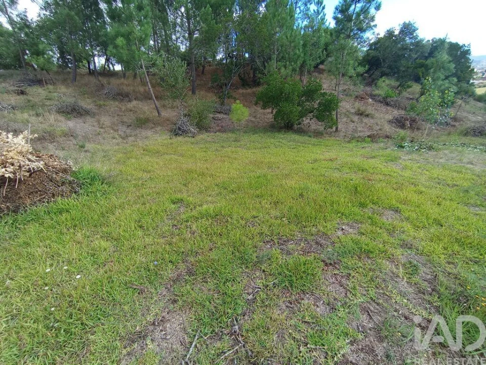 Terreno para Venda em Batalha Foto 16