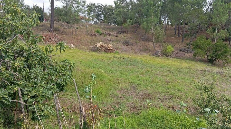 Terreno para Venda em Batalha