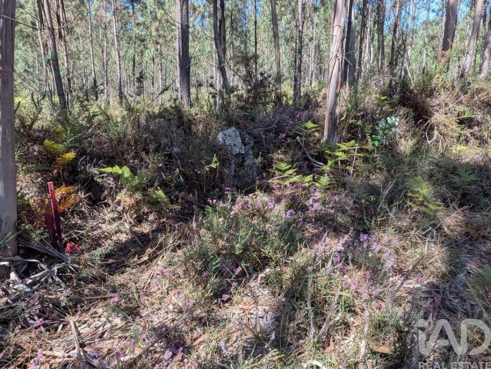 Terreno para Venda em Fragoso Foto 1