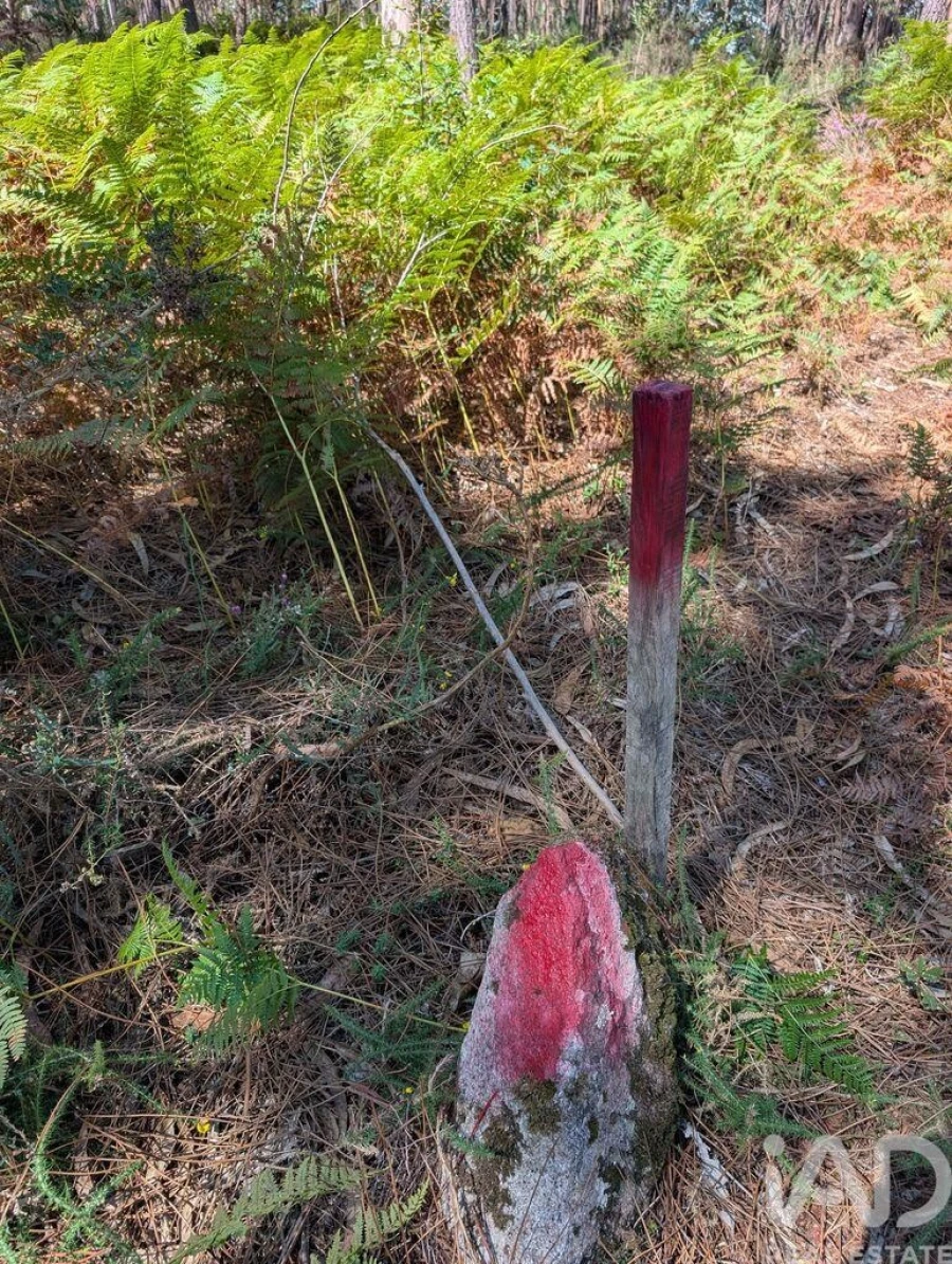 Terreno para Venda em Fragoso Foto 5