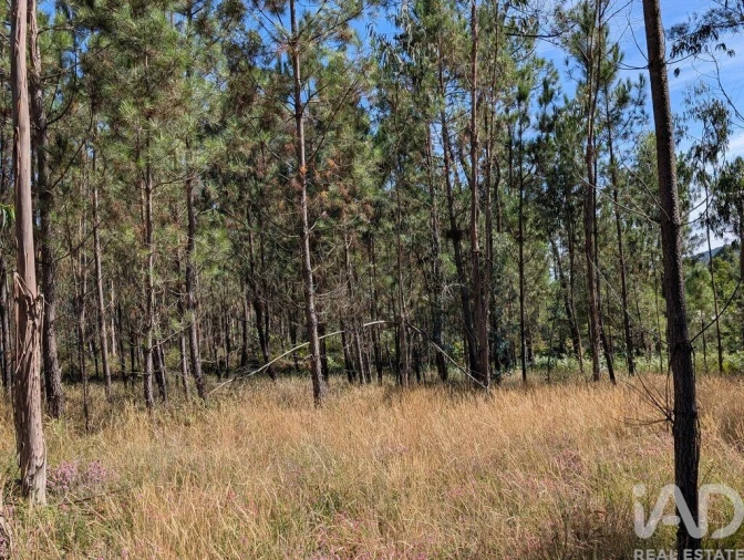 Terreno para Venda em Fragoso Foto 7