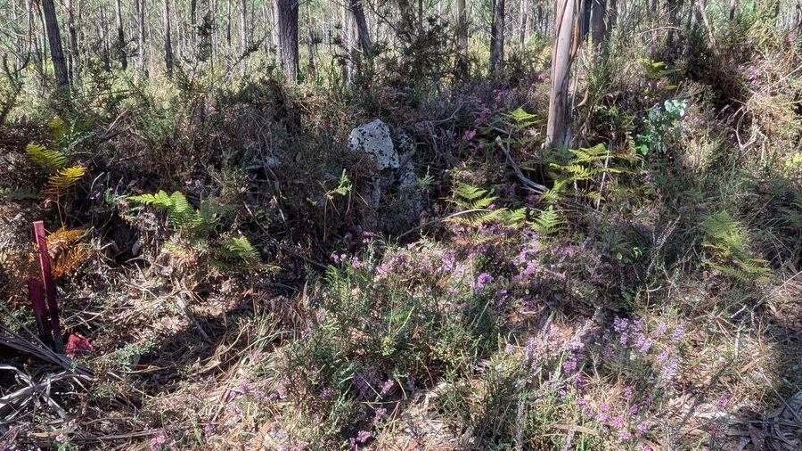 Terreno para Venda em Fragoso