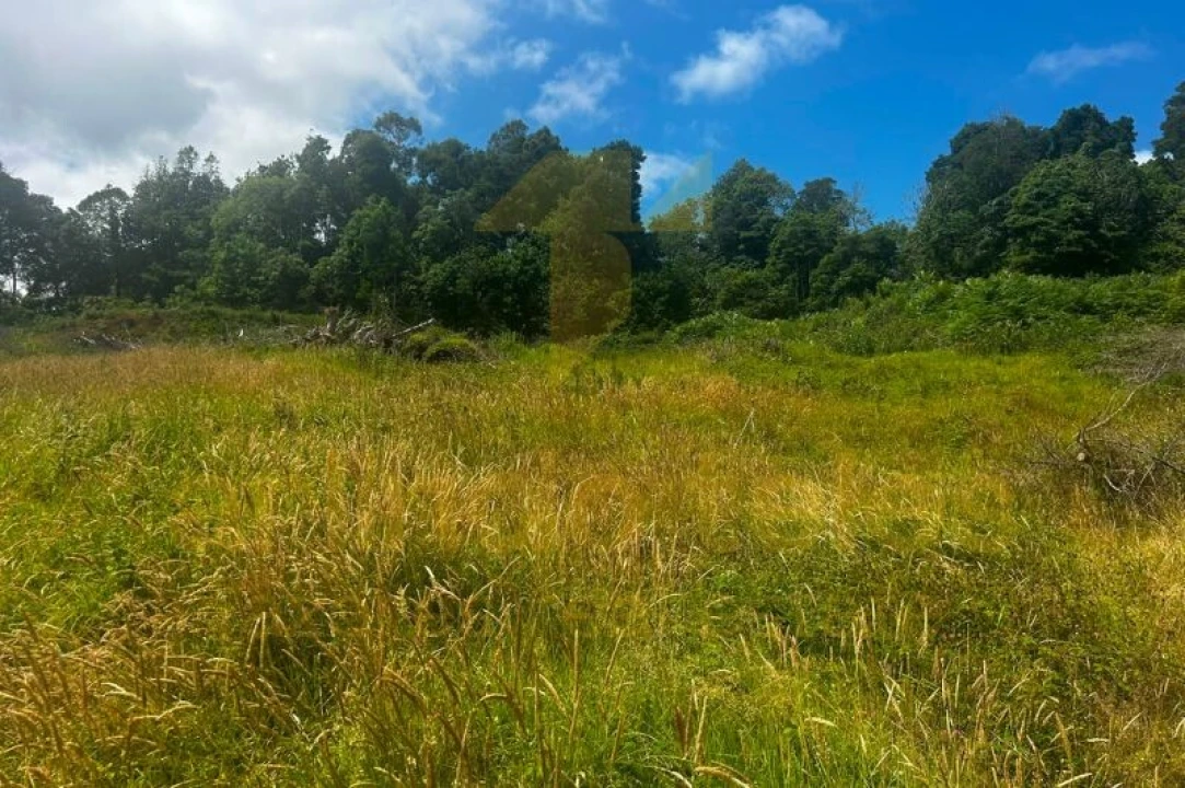 Terreno para Venda em Terra Chã Foto 25