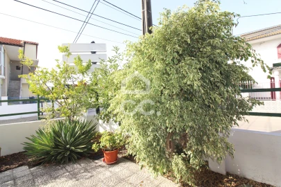 Negócio para Venda em Amora